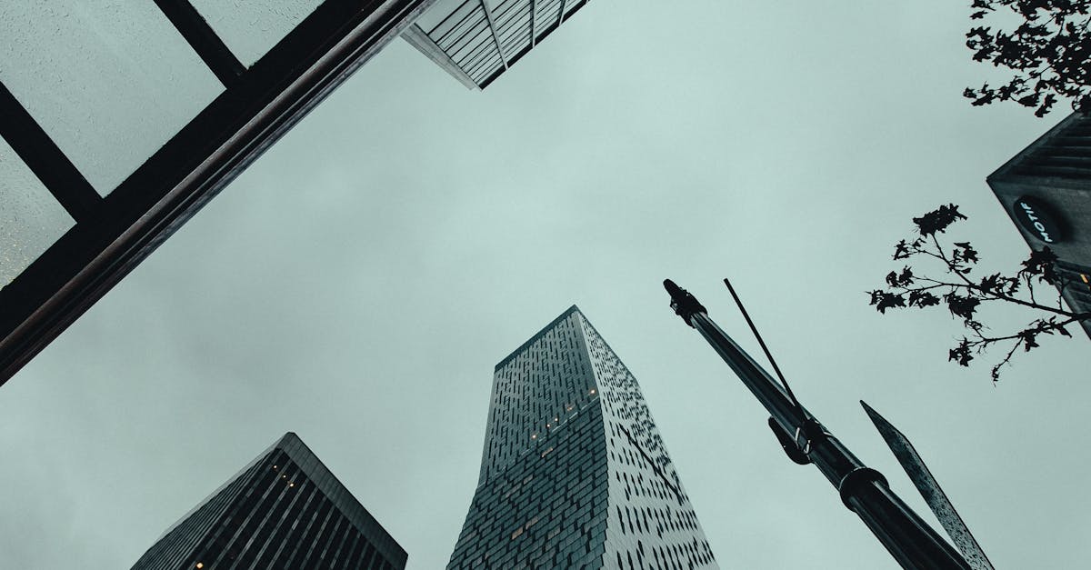 Orlando family photography